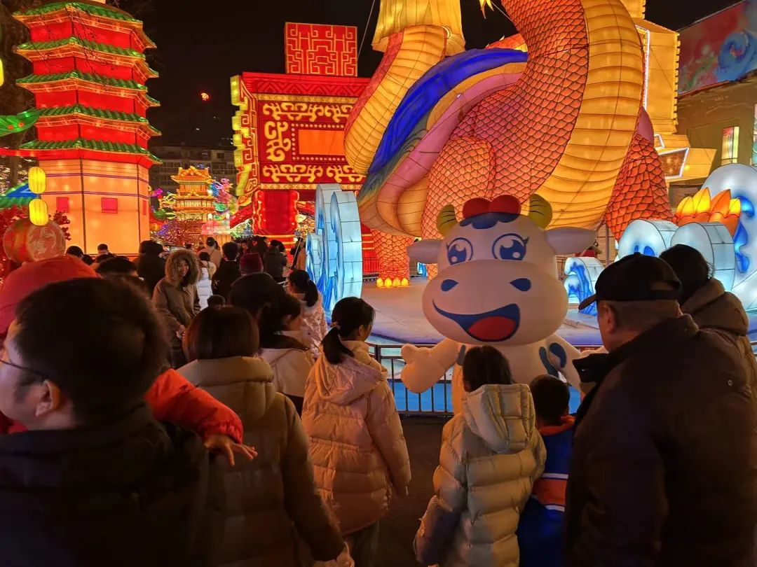 央視直播鄭州龍年燈會(huì)迎新春，花花牛品牌上大分