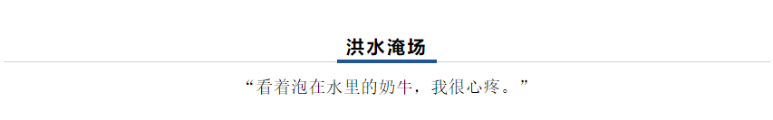 【乳報·聚焦】“豫”難而上的中原牛人“太中了”！