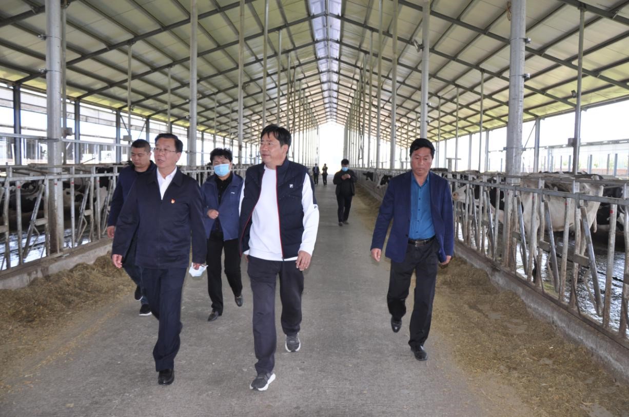 商丘市委常委、宣傳部部長王全周一行蒞臨睢縣瑞亞牧業(yè)有限公司調(diào)研