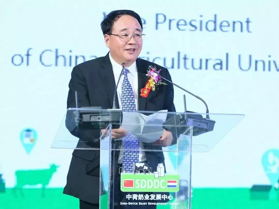 SDDDC走進(jìn)河南，看看花花牛的國際范兒！