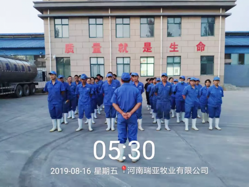 小晨會(huì)·大能量——砥礪奮進(jìn)的花花牛，加油！